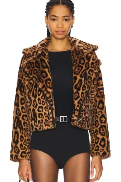 The Downtown Moto Jacket