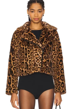 The Downtown Moto Jacket