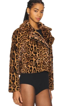 The Downtown Moto Jacket