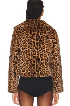 The Downtown Moto Jacket