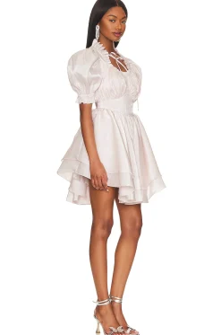 The Portrait of A Lady Dress