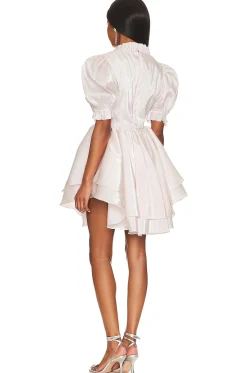 The Portrait of A Lady Dress