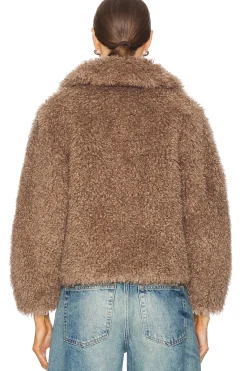 The Teddy Bomber