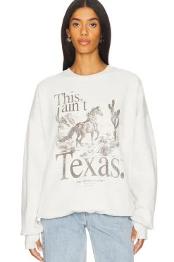 This Ain't Texas Stallion Jumper