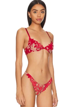Velvet Lily Embroidery Demi Bra
