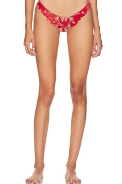 Velvet Lily Embroidery Thong