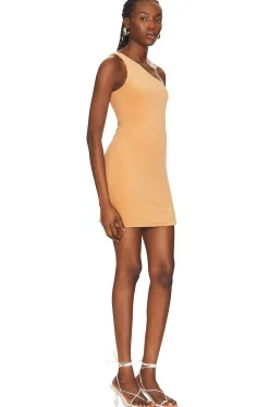 x REVOLVE Leah Mini Dress