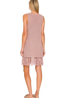 x REVOLVE Neza Crochet Mini Dress