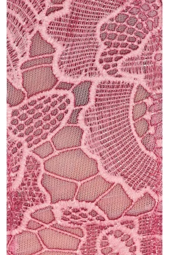 X Revolve Paris Lace Midi Dress